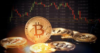 Adoption du Bitcoin et des crypto