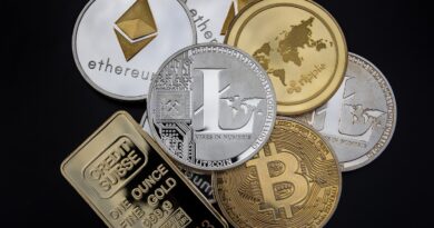 Qu'est-ce qu'une cryptomonnaie ?